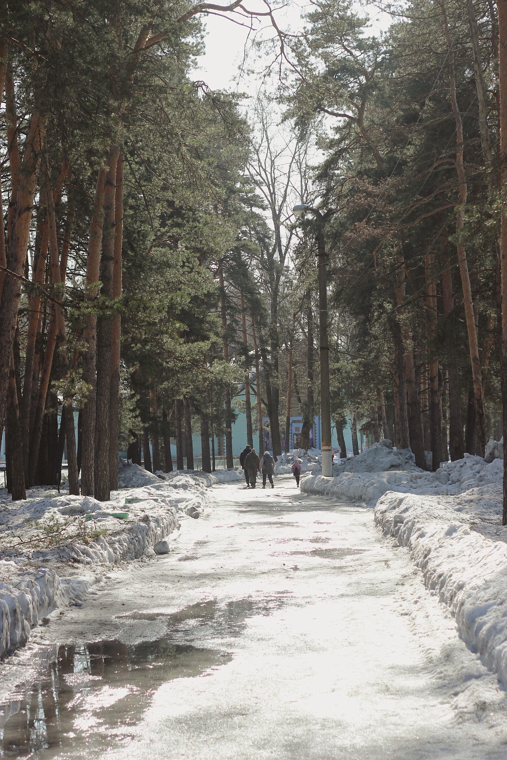 На базе отдыха «Боровое» успешно завершился зимний туристско-спортивный фестиваль