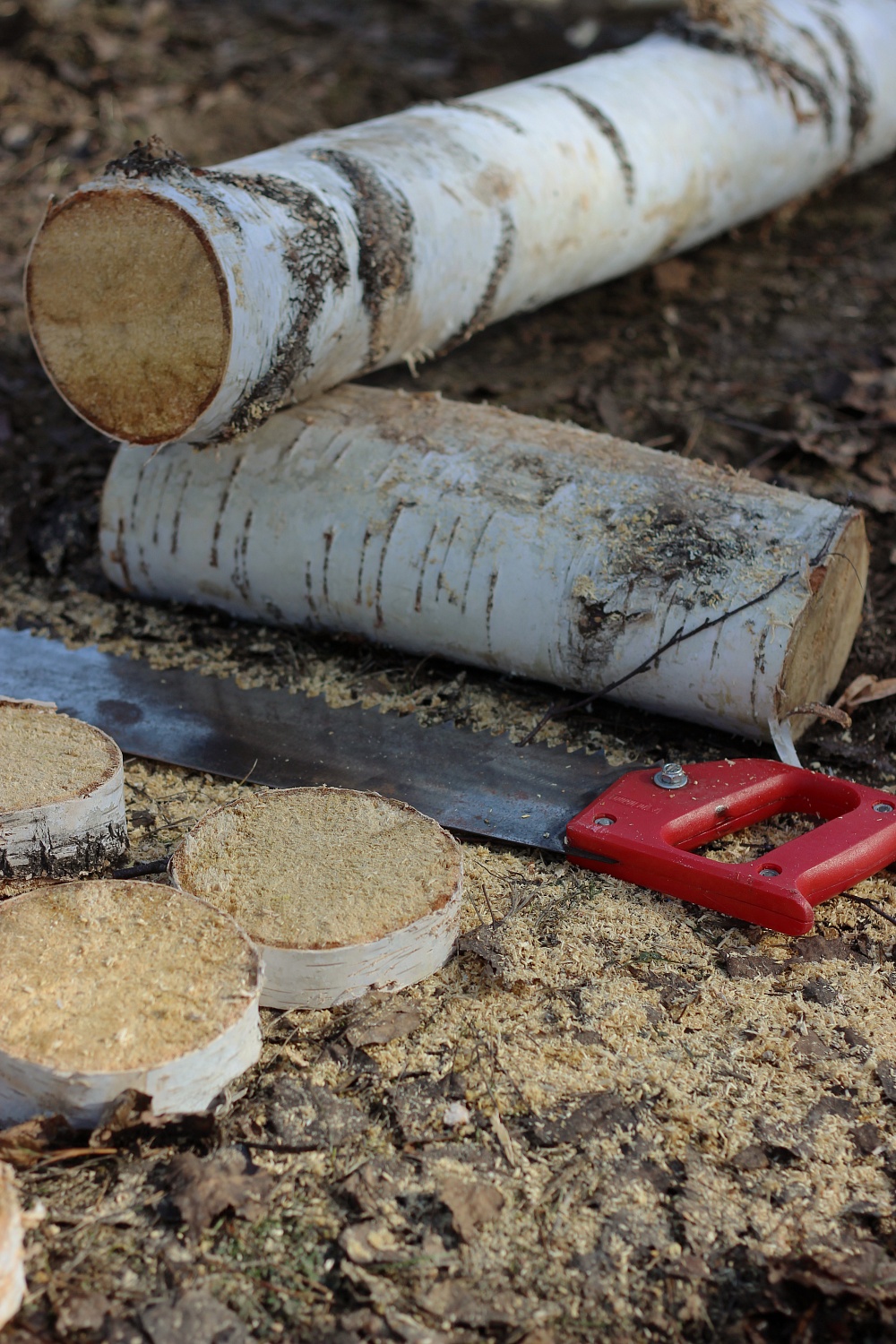 На базе отдыха «Боровое» успешно завершился зимний туристско-спортивный фестиваль