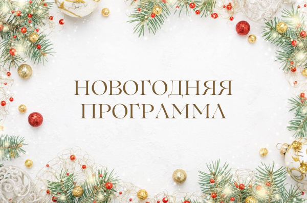 Новогодняя программа дома отдыха «Подмосковье»